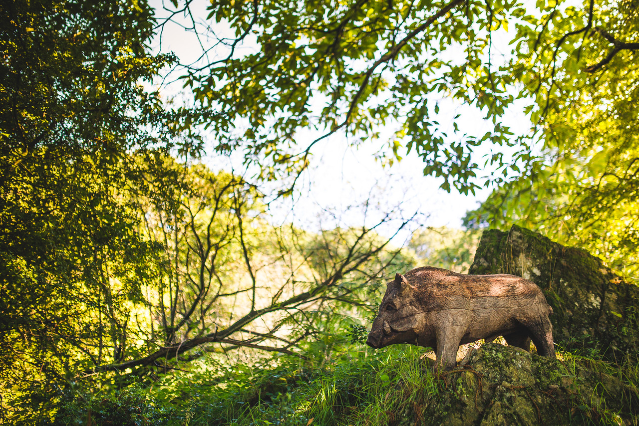 Carving in The Wild Boar Woods. Photo by: Image Splash