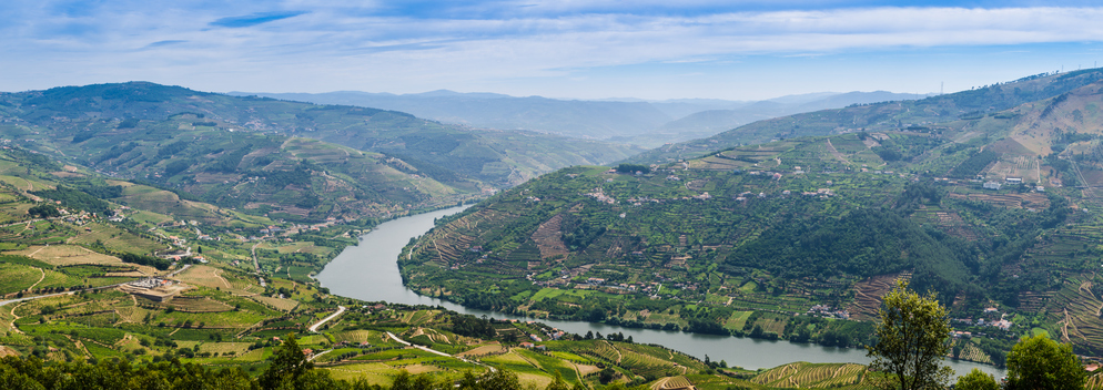 Terraced vineyards in Douro Valley, Alto Douro Wine Region in northern Portugal, officially designated by UNESCO as World Heritage Site