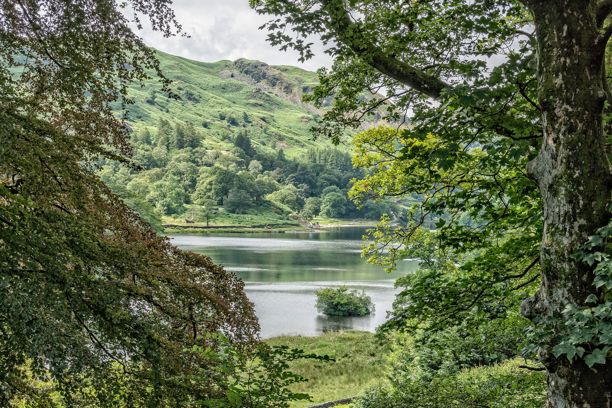 Rydal Water from the garden at Rydal Mount / CC 2.0 David Nicholls