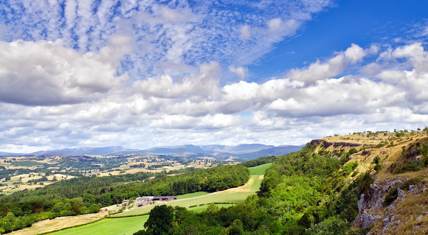 Trees near Scout Scar and the lakedistrict fells beyond
