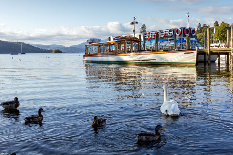 Ducks and swans by a cruiser at Waterhead.
