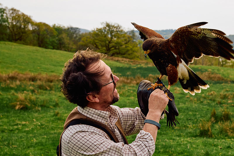 Bird of prey with handler