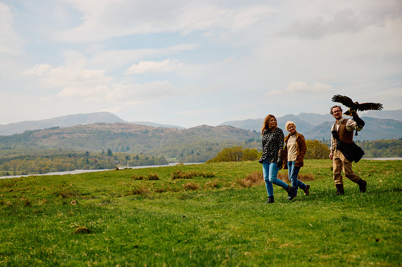 A Hawk Walk with the Lake District fells in the background.