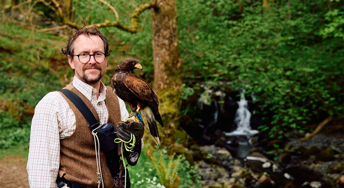 Falconer and bird in the woods at Low Wood Bay in the Lake District